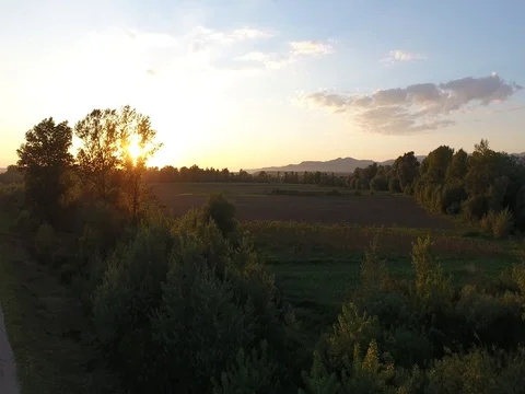 Flying in the sunset Stock Footage 80806085