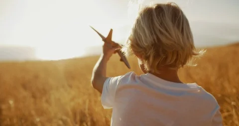 Flying into the sunset Stock Footage 101394844