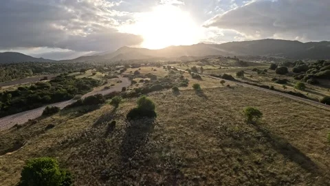 Flying into sunset 스톡 동영상 274932114