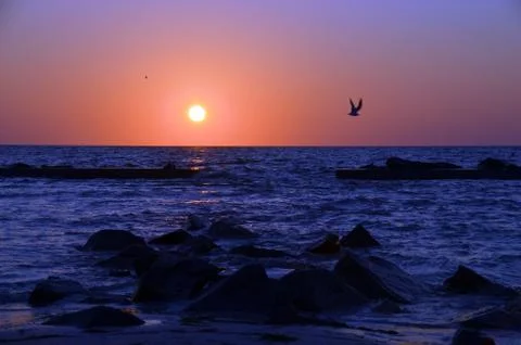 Flying into the sunset Stock Photos