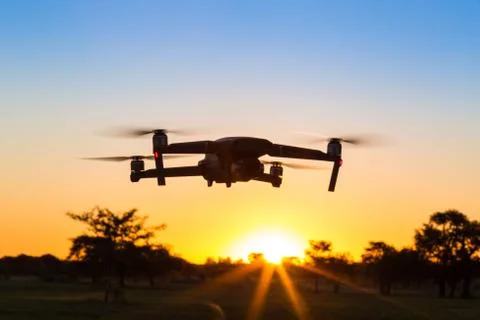 Flying in the sunset. Selective focus Stock Photos
