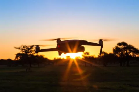 Flying in the sunset. Selective focus Stock Photos