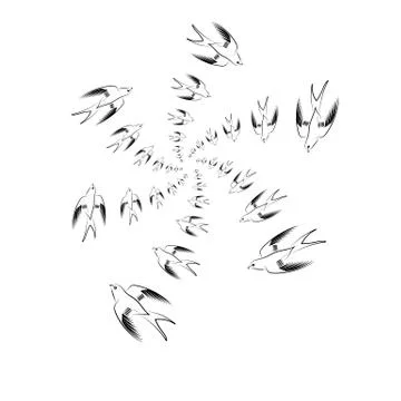 Flying Swallow Animal Pattern. Stock Illustration