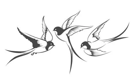 Flying Swallow Set. Bird in Motion Drawn in Engraving Style Stock Illustration