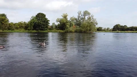 Flying though the river. 库存影片 154301625