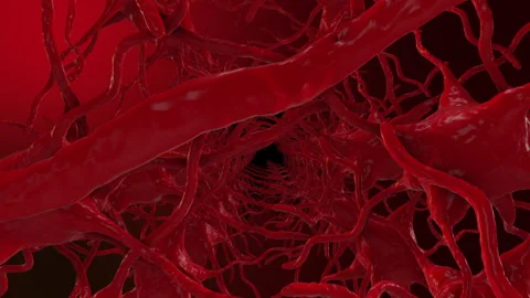 Flying through abstract network of nerves and vessels in a seamless loop Stock Footage 241593859