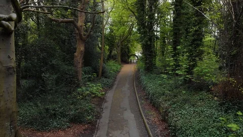 Flying through beautiful forest path, 4k Stock-Footage 94986084