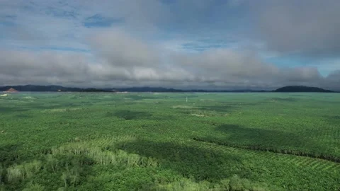 Flying through beautiful thick fluffy clouds. Amazing timelapse of soft white cl Stock Footage 164595581
