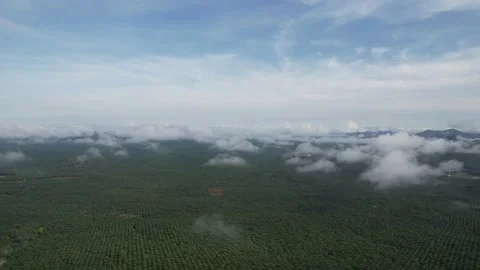 Flying through beautiful thick fluffy clouds. Amazing timelapse of soft white cl Stock Footage 164595590