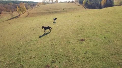 Flying through the big cave Stock Footage 68382874
