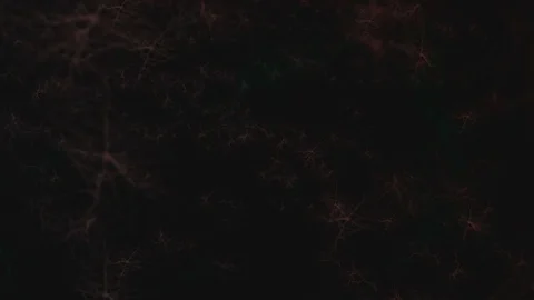 Flying Through Brain frequencies On Black Background 2 Video stock 70930011