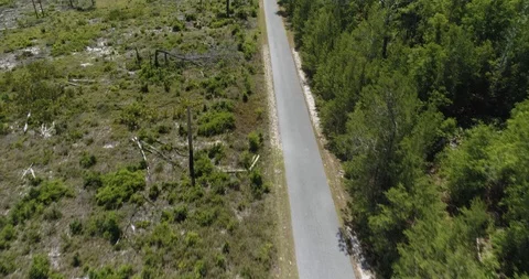 Flying through canopy of trees along cycle path drone aerial 4K Stock Footage 111418545