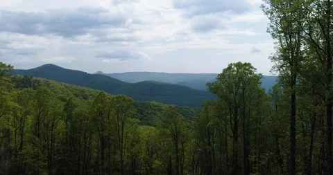 Flying through canopy of trees in Blue ridge Mountains drone aerial 4k Stock Footage 114136117