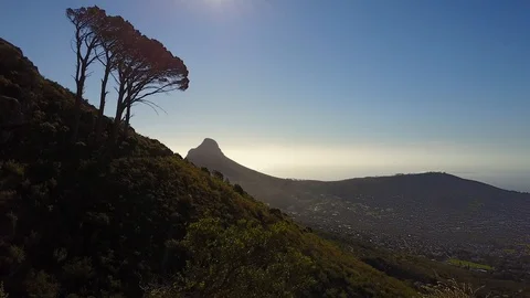Flying Through A Cave In Between Mountains And Trees [Drone Footage] Stock Footage 90934390