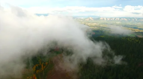 Flying through the clouds above a forest. Stock Footage 68542130