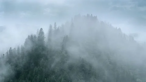 Flying through the clouds above mountain tops. Misty mountain forest covered by Vidéo 135167560