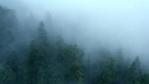 Flying through the clouds above mountain tops. High peaks wonderful morning Stock Footage 135167870