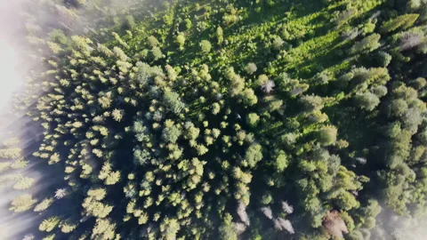 Flying through the clouds above mountain tops. High peaks wonderful morning Stock Footage 137423081