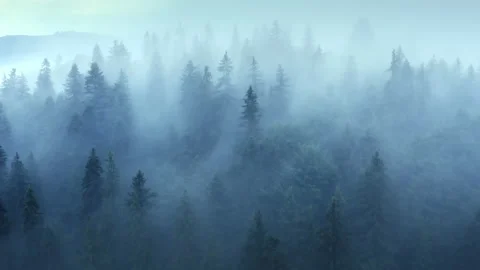 Flying through the clouds above mountain tops. Misty mountain forest covered by Stock Footage 155011027