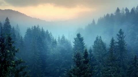 Flying through the clouds above mountain tops. Misty mountain forest covered by Stock Footage 155011113