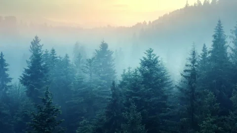 Flying through the clouds above mountain tops. Misty mountain forest covered by Stock Footage 155011526