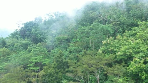Flying through the clouds above mountain tops.wonderful morning sunrise natural Stock Footage 233097267