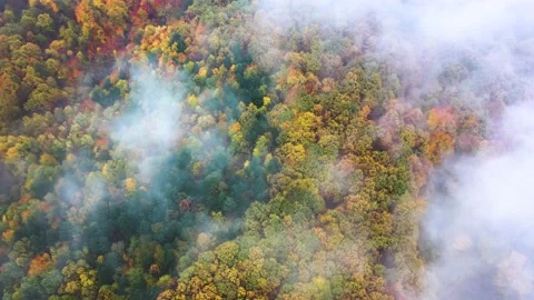 Flying Through the Clouds in the Autumn Stock Footage 142959271