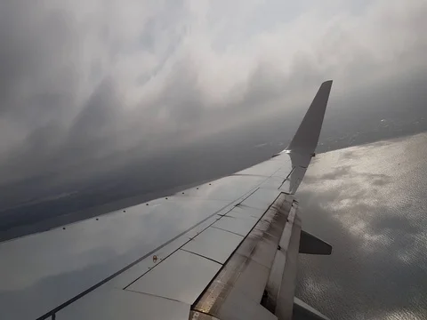 Flying through clouds emerging to sunlight Stock Footage 81035437