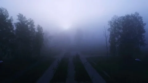 Flying through the clouds. Flies over the clouds. Stock Footage 81139039