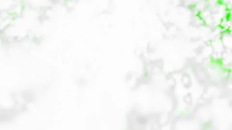 Flying Through the Clouds on a Green Screen Background Stock Footage 24811718