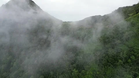 Flying through the clouds on Mount Aorai, Tahiti French Polynesia Stock Footage 253172368