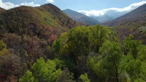 Flying through the Colorful Mountains in Fall Stock Footage 163191544
