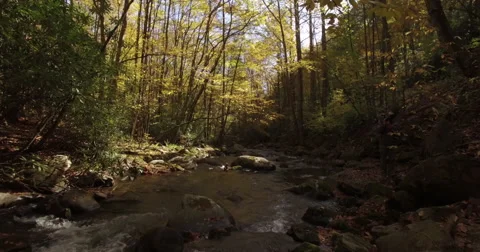 Flying through creek Stock Footage 60646262
