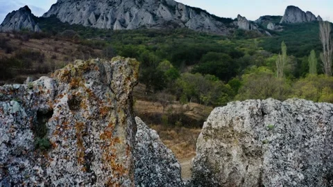 Flying through crevice in rock covered with moss and lichen. Offers view of Stock Footage 223048085