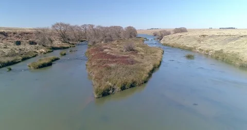 Flying through dead trees in shallow river bed Video stock 93485830