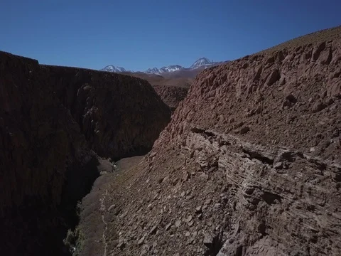 Flying through dry canyon with huge cactus Stock Footage 83294899