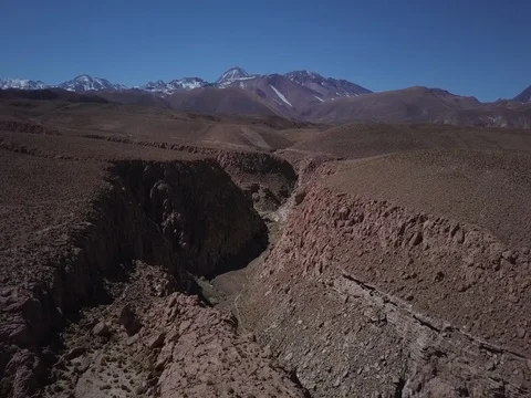 Flying through dry canyon with huge cactus Stock Footage 83295052