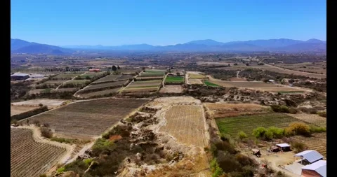 Flying through the field Stock Footage 315195433