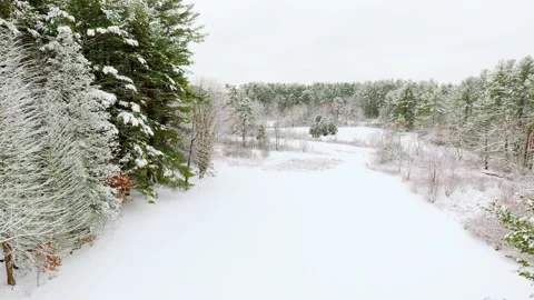 Flying Through Field in Forest in Winter Snow Vídeos de archivo 147755067