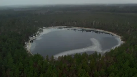 Flying through forest ice lake at winter around the green spruce top view Stock Footage 237687365