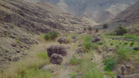 Flying through a gorge in gran canaria Stock Footage 174033970