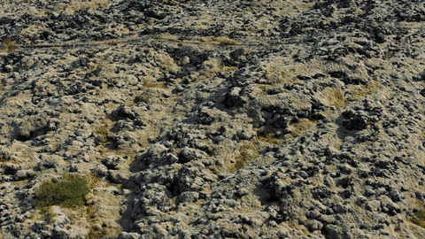 Flying through the Icelandic epic Lava field moss-covered landscape. Stock Footage 116244826