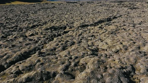 Flying through the Icelandic epic Lava field moss-covered landscape. Stock Footage 116246040