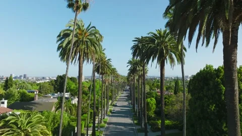 Flying Through the Iconic Beverly Hills Palm Trees, Drone Shot of Stock Footage 183021500
