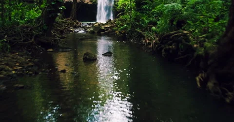Flying Through Jungle Towards Waterfall. 4K Aerial View Through Tropical Jung Stock Footage 56876272