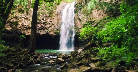 Flying Through Jungle Towards Waterfall. 4K Aerial View Through Tropical Jung Vídeos de archivo 56876382