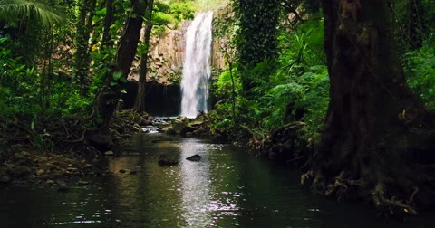 Flying Through Jungle Towards Waterfall. 4K Aerial View Through Tropical Jung Stock-Footage 56876444