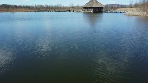 Flying Through Marsh 스톡 동영상 194954106