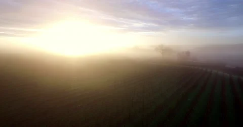 Flying Through Morning Fog - Laguna Sunrise v2 Stock Footage