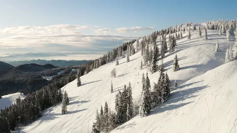 Flying Through Mountain covered in Snow With Fresh Sky Lines and Spruce Trees Stock Footage 168139446